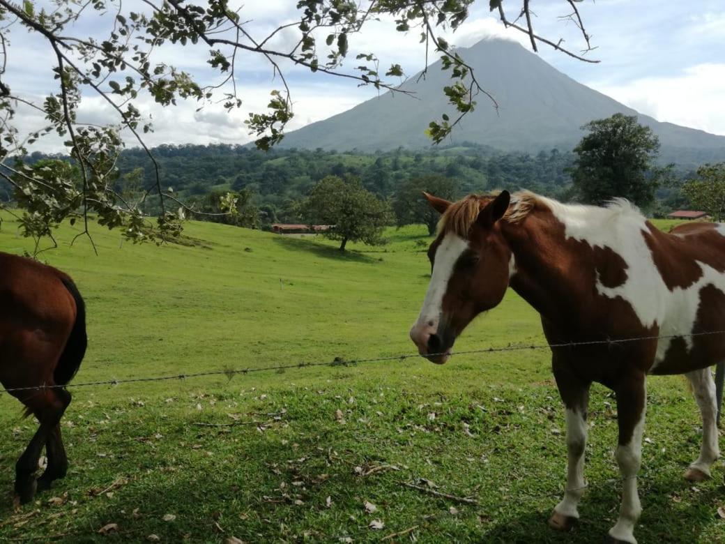 Casona Rustica & Bungalow La Fortuna 外观 照片